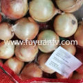 Wholesale New Crop gelbe Zwiebel